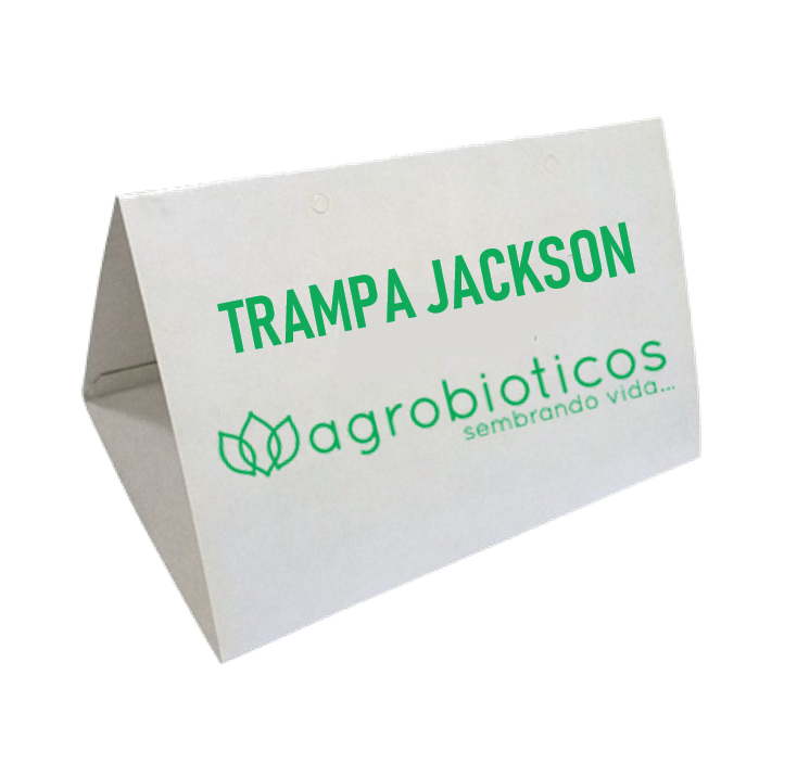Trampa Jackson