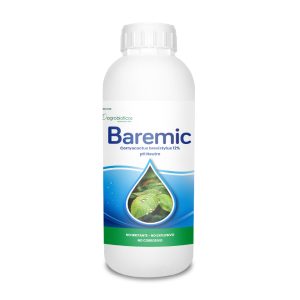 Baremic