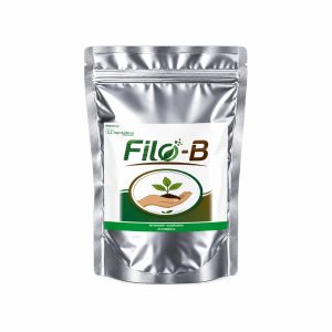 Filo-B