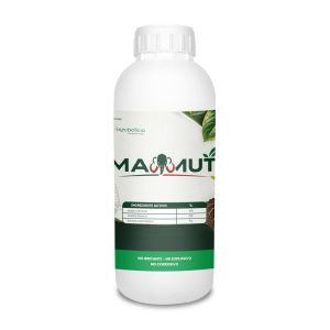 Mamut