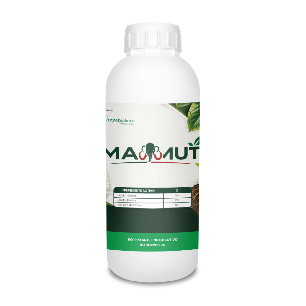 Mamut