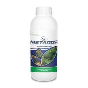 Metador