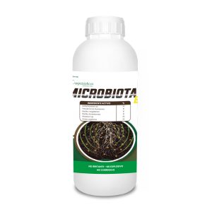 Microbiota B+