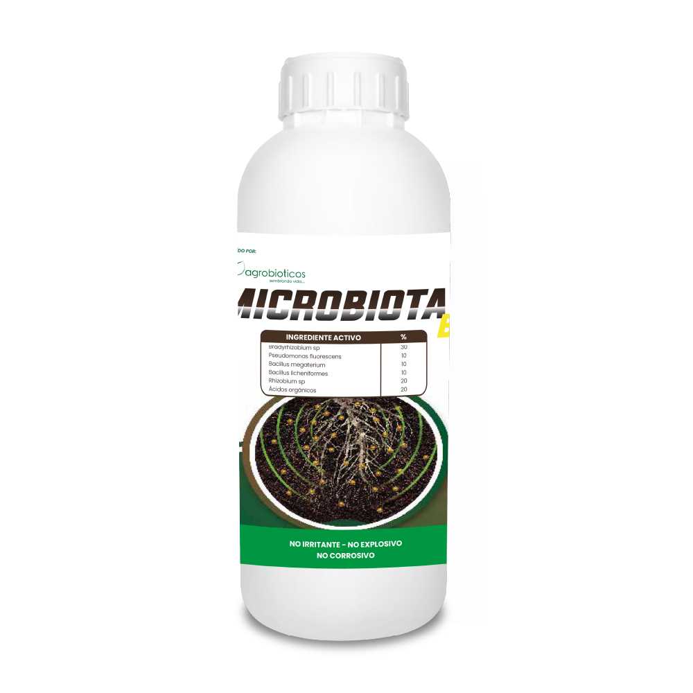 Microbiota B+