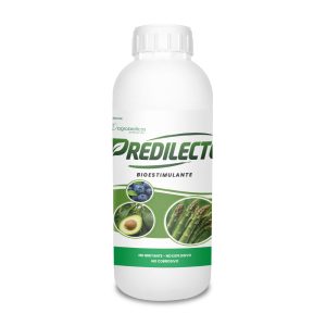 Predilecto