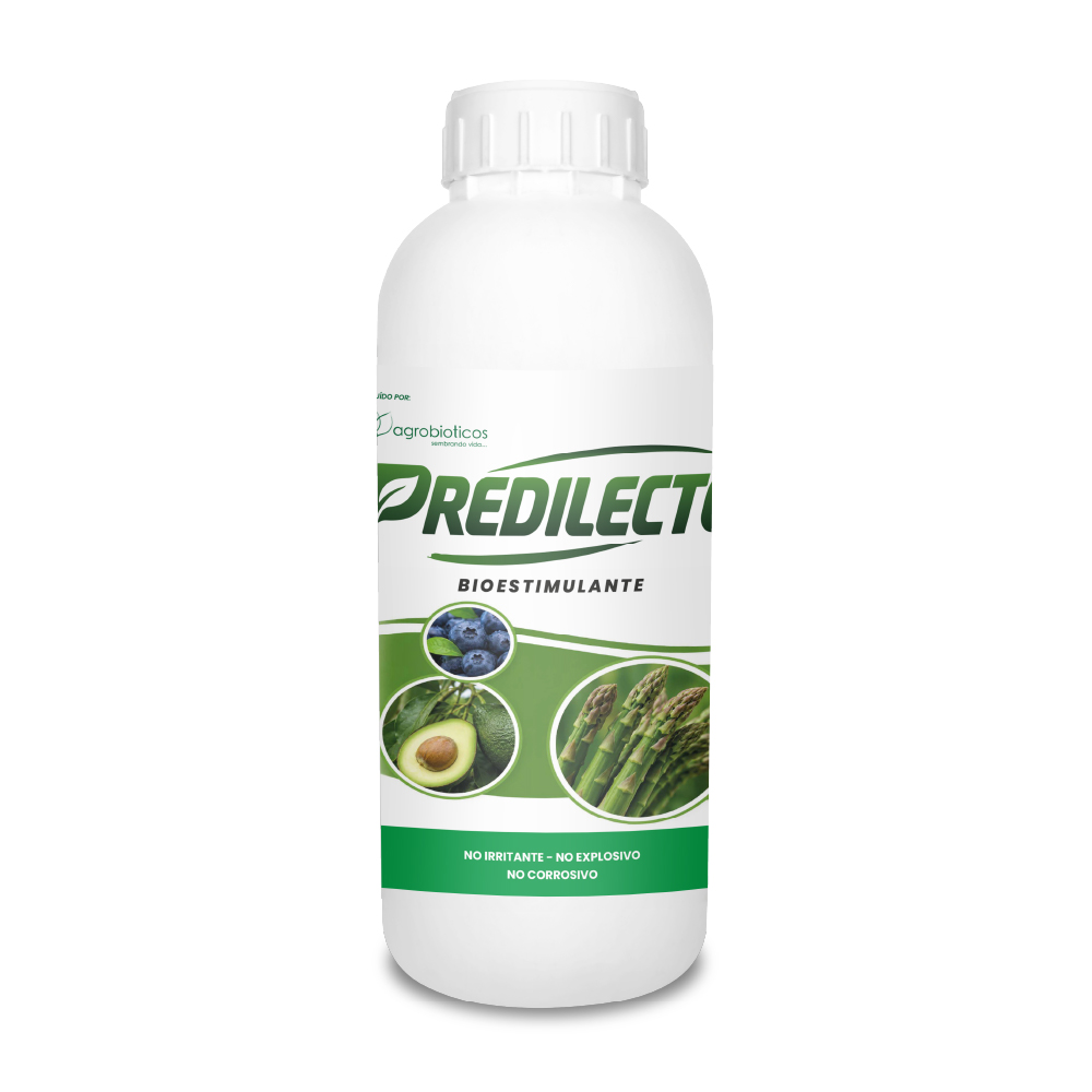 Predilecto