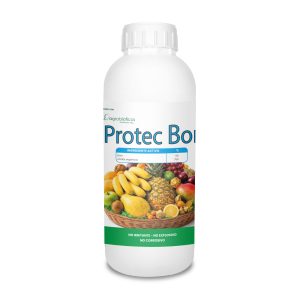 Protec Bor