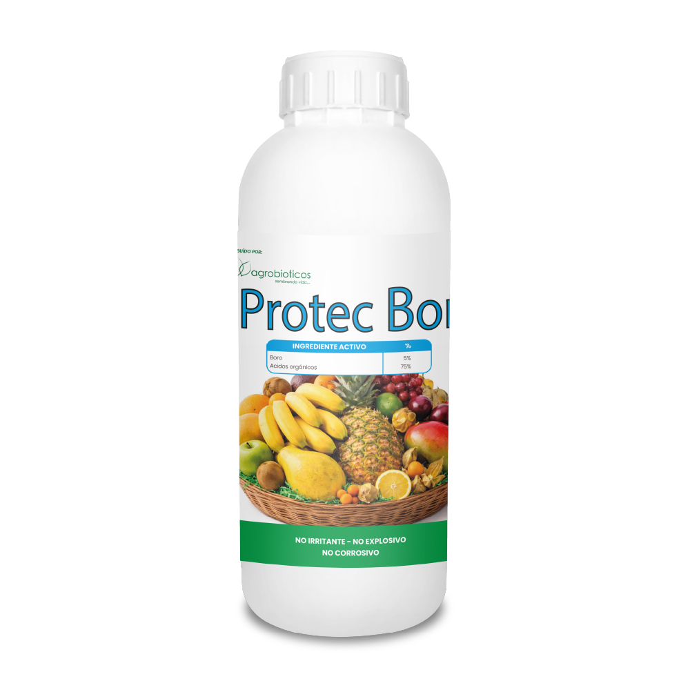 Protec Bor