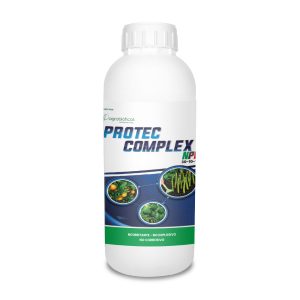 Protec Complex