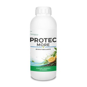 Protec More
