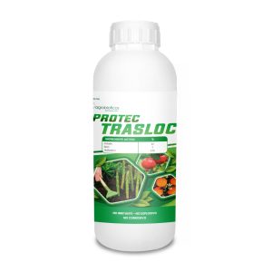 Protec Trasloc
