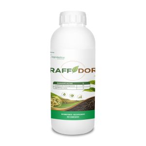 Raffdor