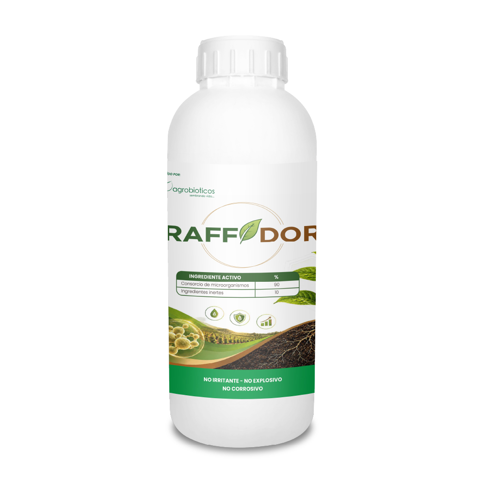 Raffdor
