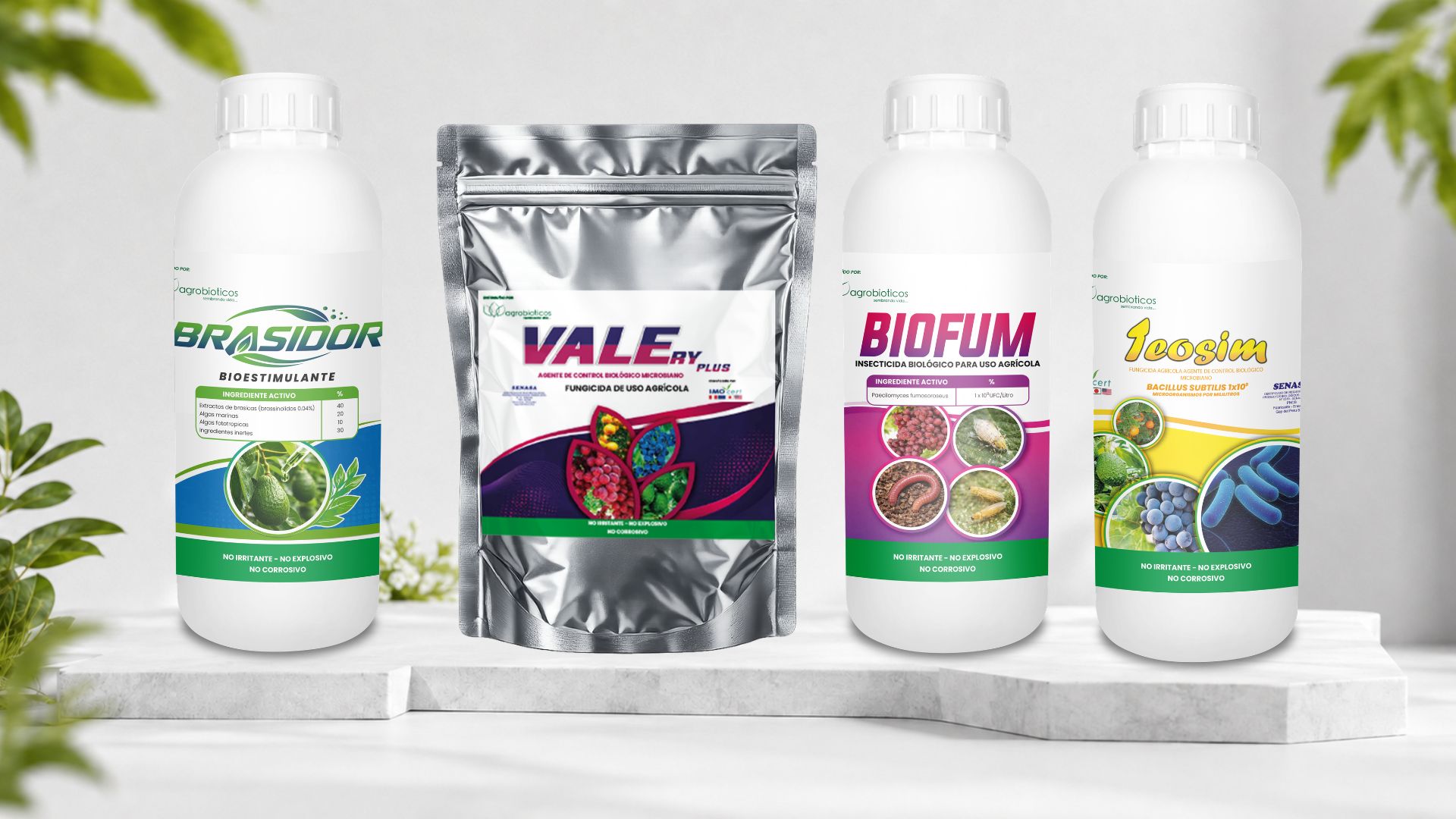 Nuestras soluciones