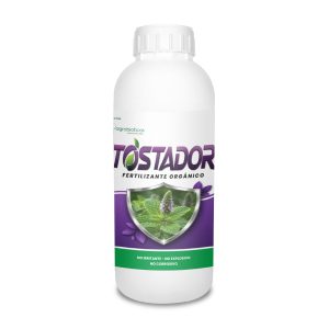 Tostador