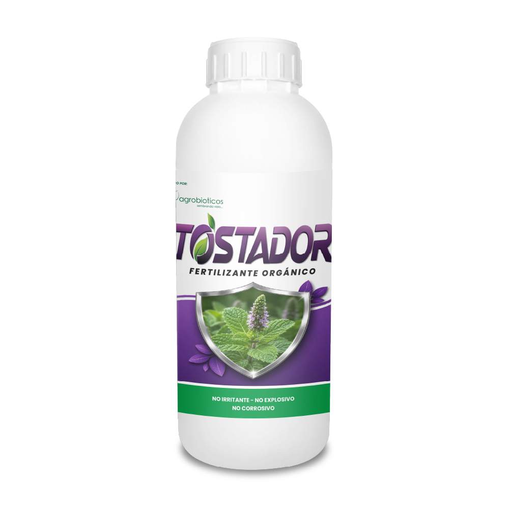 Tostador