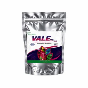 Valery Plus
