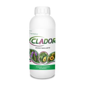 Clador