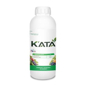K’ata
