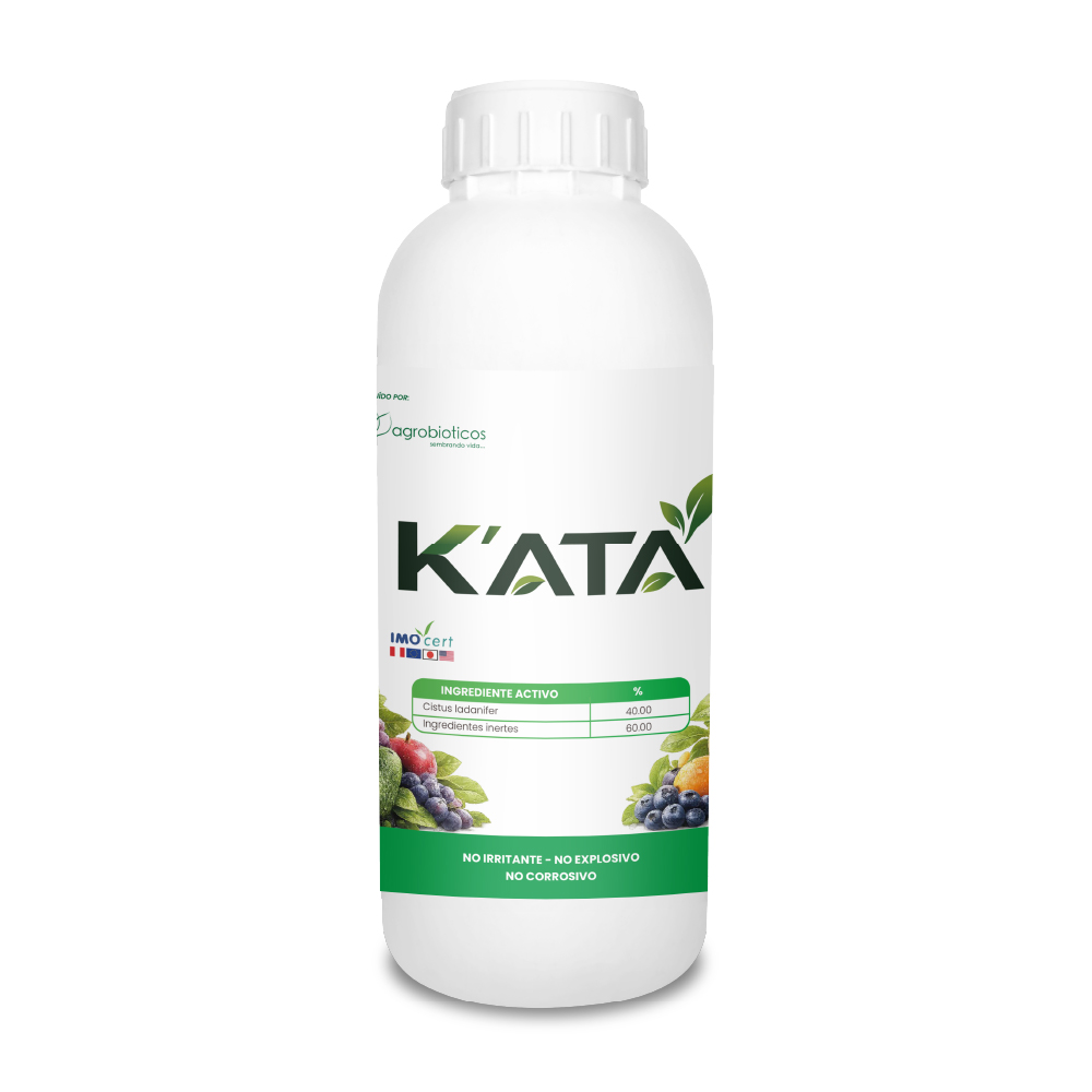 K'ata