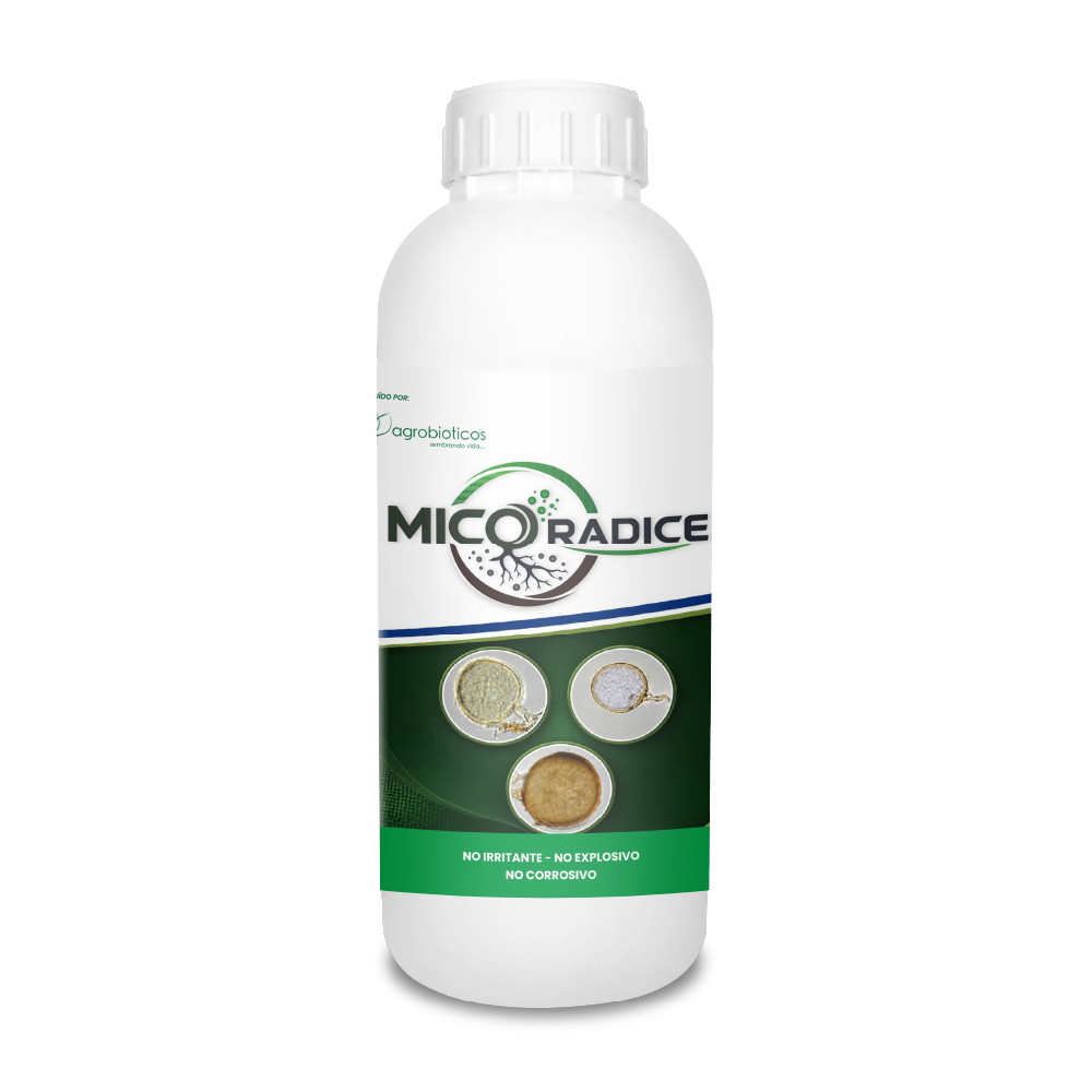 Mico Radice