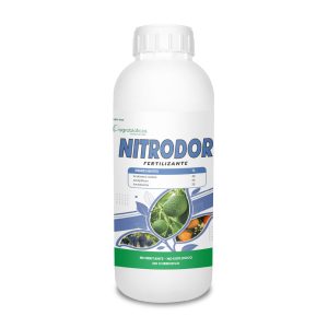 Nitrodor